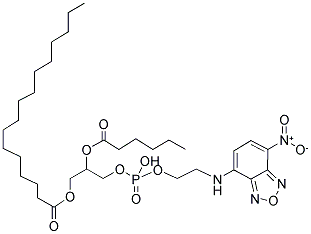 1-PALMITOYL-2-[6-[(7-NITRO-2-1,3-BENZOXADIAZOL-4-YL)AMINO]CAPROY]-SN-GLYCERO-3-PHOSPHOETHANOLAMINE Struktur