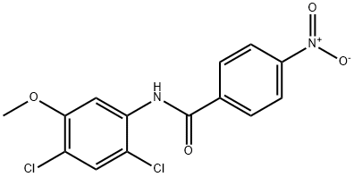 N-(2,4-DICHLORO-5-METHOXYPHENYL)-4-NITROBENZENECARBOXAMIDE Struktur