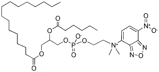 1-PALMITOYL-2-[6-[(7-NITRO-2-1,3-BENZOXADIAZOL-4-YL)AMINO]CAPROYL]-SN-GLYCERO-3-PHOSPHOCHOLINE|1-PALMITOYL-2-[6-[(7-NITRO-2-1,3-BENZOXADIAZOL-4-YL)AMINO]CAPROYL]-SN-GLYCERO-3-PHOSPHOCHOLINE