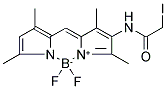 BODIPY(R) 507/545 IA Struktur