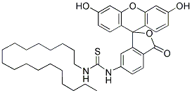 F18 Struktur