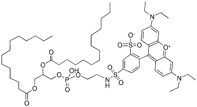 1,2-DIMYRISTOYL-SN-GLYCERO-3-PHOSPHOETHANOLAMINE-N-(LISSAMINE RHODAMINE B SULFONYL) Struktur