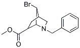 METHYL 2-BENZYL-7-BROMO-2-AZABICYCLO[2.2.1]HEPTANE-6-CARBOXYLATE Struktur