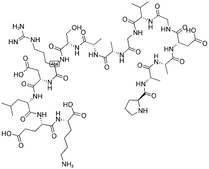 NEF (25-39) Struktur