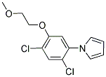 1-[2,4-DICHLORO-5-(2-METHOXYETHOXY)PHENYL]-1H-PYRROLE Struktur