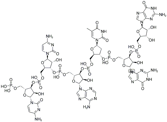 CCATGG, 5'-PHOSPHORYLATED