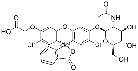 CM-DCF-NAG Struktur