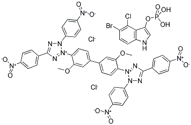 BCIP/TNBT Struktur