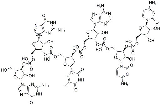 GGTACC, 5'-NON-PHOSPHORYLATED Struktur