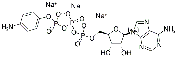 ADENOSINE-5'-[GAMMA-(4-AMINOPHENYL)]TRIPHOSPHATE, SODIUM SALT Struktur