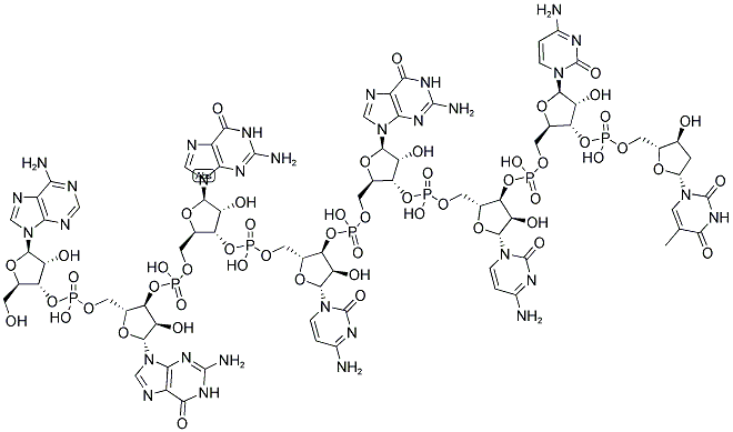 AGGCGCCT, 5'-NON-PHOSPHORYLATED Struktur