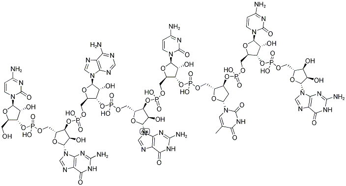 CGAGCTCG, 5'-NON-PHOSPHORYLATED Struktur