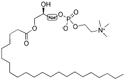 1-BEHENOYL-2-HYDROXY-SN-GLYCERO-3-PHOSPHOCHOLINE Struktur