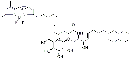 BODIPY(R) FL C12-GALACTOCEREBROSIDE Struktur