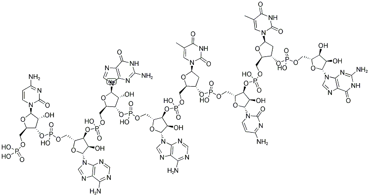 BGL II LINKER, 5'-PHOSPHORYLATED Struktur