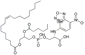 1-OLEOYL-2-[6-[(7-NITRO-2-1,3-BENZOXADIAZOL-4-YL)AMINO]CAPROYL]-SN-GLYCERO-3-PHOSPHOSERINE(SODIUM SALT) Struktur