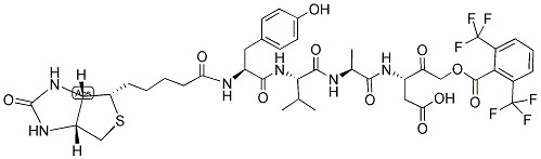 CASPASE-1 INHIBITOR III, BIOTIN CONJUGATE Struktur