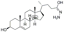 5-CHOLENIC ACID-3-BETA-OL HYDRAZIDE Struktur