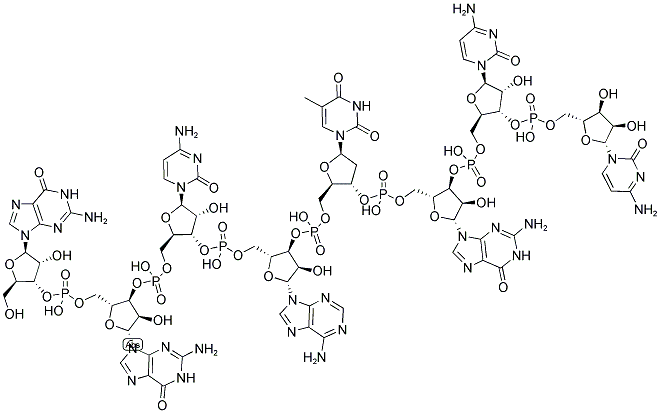 GGCATGCC, 5'-NON-PHOSPHORYLATED Struktur