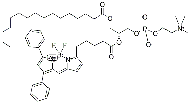 2-(4,4-DIFLUORO-5,7-DIPHENYL-4-BORA-3A,4A-DIAZA-S-INDACENE-3-PENTANOYL)-1-HEXADECANOYL-SN-GLYCERO-3-PHOSPHOCHOLINE Struktur