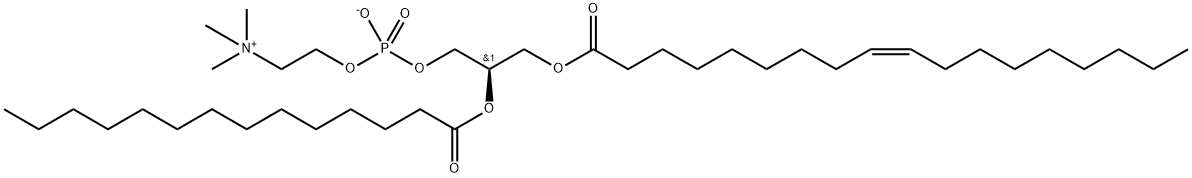 1-OLEOYL-2-MYRISTOYL-SN-GLYCERO-3-PHOSPHOCHOLINE Struktur