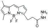 4,4-DIFLUORO-5,7-DIMETHYL-4-BORA-3A,4A-DIAZA-S-INDACENE-3-PROPIONIC ACID, HYDRAZIDE Struktur