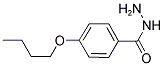 4-BUTOXY-BENZOIC ACID HYDRAZIDE Struktur