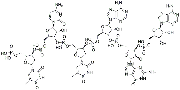 TCTAGA, 5'-PHOSPHORYLATED Struktur