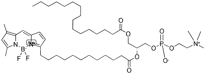 2-(4,4-DIFLUORO-5,7-DIMETHYL-4-BORA-3A,4A-DIAZA-S-INDACENE-3-DODECANOYL)-1-HEXADECANOYL-SN-GLYCERO-3-PHOSPHOCHOLINE Struktur