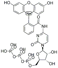 FLUORESCEIN-N4-CTP Struktur