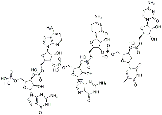 GAGCTC, 5'-PHOSPHORYLATED Struktur