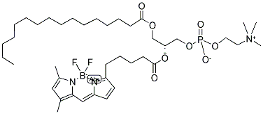 2-(4,4-DIFLUORO-5,7-DIMETHYL-4-BORA-3A,4A-DIAZA-S-INDACENE-3-PENTANOYL)-1-HEXADECANOYL-SN-GLYCERO-3-PHOSPHOCHOLINE Struktur