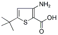 3-AMINO-5-TERT-BUTYLTHIOPHENE-2-CARBOXYLIC ACID Struktur