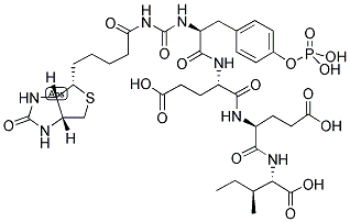 BIOTIN-EPSILON-AMINOCAPROYL-TYR(PO3H2)-GLU-GLU-ILE Structure