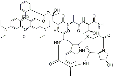 PHALLOIDIN, RHODAMINE X CONJUGATED Struktur