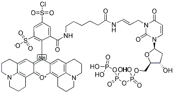 CHROMATIDE(TM) TEXAS RED(R)-12-DUTP Struktur