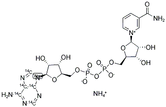 NICOTINAMIDE[U-14C]ADENINE DINUCLEOTIDE, AMMONIUM SALT Struktur