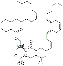 L-3-PHOSPHATIDYLCHOLINE,1-STEAROYL-2-[1-14C]ARACHIDONYL Struktur