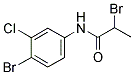 2-BROMO-N-(4-BROMO-3-CHLOROPHENYL)PROPANAMIDE Struktur