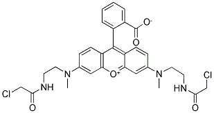 N,N'-BIS[2-(CHLOROACETAMIDO)ETHYL]-N,N'-DIMETHYLRHODAMINE Struktur