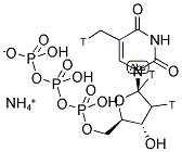 [METHYL,1',2'-3H]THYMIDINE 5'-TRIPHOSPHATE, AMMONIUM SALT Struktur