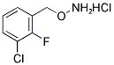 1-[(AMMONIOOXY)METHYL]-3-CHLORO-2-FLUOROBENZENE CHLORIDE Struktur