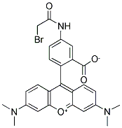 5-[BROMOACETAMIDO]TETRAMETHYLRHODAMINE Struktur