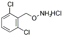 2-[(AMMONIOOXY)METHYL]-1,3-DICHLOROBENZENE CHLORIDE Struktur