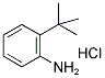 2-(TERT-BUTYL)ANILINE HYDROCHLORIDE Struktur