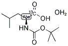 N-(TERT-BUTOXYCARBONYL)-L-LEUCINE-1-13C MONOHYDRATE Struktur