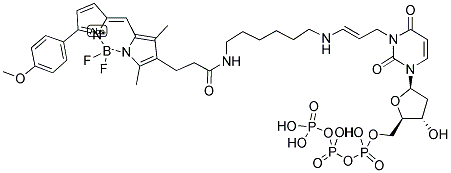 BODIPY(R) TMR-14-DUTP Struktur