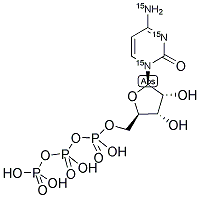 CTP (U-15N3) Struktur