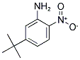 5-TERT-BUTYL-2-NITROANILINE Struktur