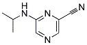 6-(ISOPROPYLAMINO)PYRAZINE-2-CARBONITRILE Struktur